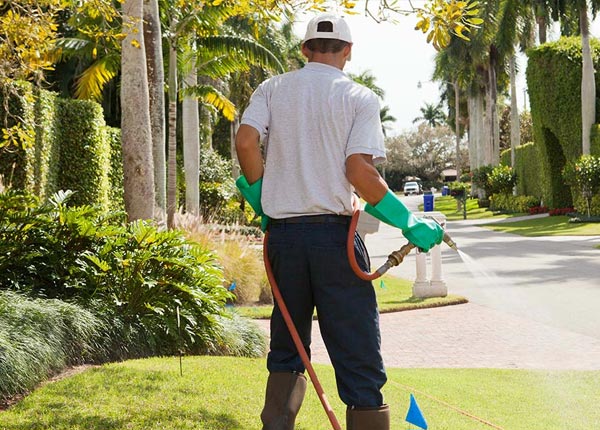 About West Union SC Pest Control Pros